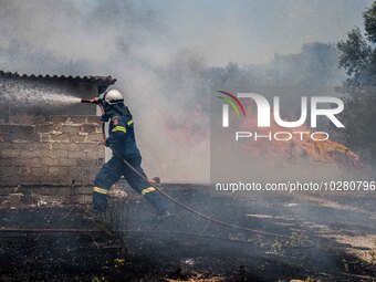 

Athens, Greece, on July 18th, 2023 - Ragind wildfires are burning several houses and structures at Nea Zoi village of Dervenohoria. (