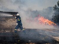 

Athens, Greece, on July 18th, 2023 - Ragind wildfires are burning several houses and structures at Nea Zoi village of Dervenohoria. (