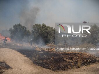 

Helicopters and ground units are fighting against the flames at the Dervenohoria wildfire in Western Attica area, Athens, Greece, on July...