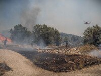 

Helicopters and ground units are fighting against the flames at the Dervenohoria wildfire in Western Attica area, Athens, Greece, on July...