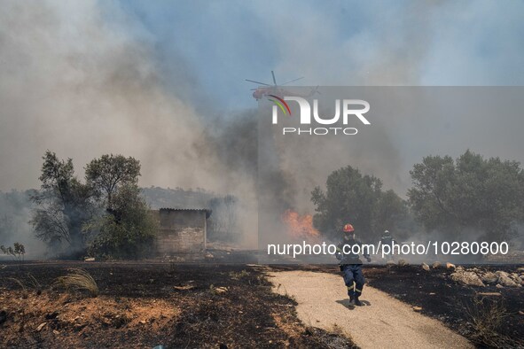 

Athens, Greece, on July 18th, 2023, helicopters and ground units are struggling to contain the flames at the Dervenohoria wildfire front. 