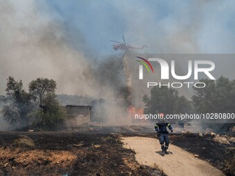 

Athens, Greece, on July 18th, 2023, helicopters and ground units are struggling to contain the flames at the Dervenohoria wildfire front....