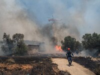 

Athens, Greece, on July 18th, 2023, helicopters and ground units are struggling to contain the flames at the Dervenohoria wildfire front....