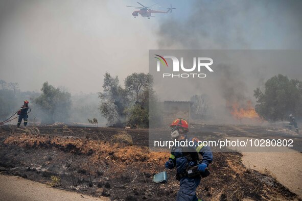 

Athens, Greece, on July 18th, 2023, helicopters and ground units are struggling to contain the flames at the Dervenohoria wildfire front. 