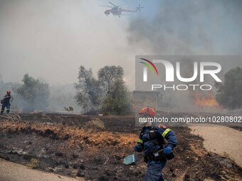 

Athens, Greece, on July 18th, 2023, helicopters and ground units are struggling to contain the flames at the Dervenohoria wildfire front....