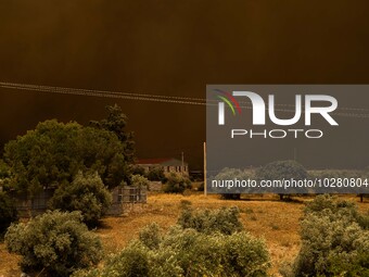 

Athens, Greece, on July 18th, 2023, the thick smoke cloud is turning the day into night during the Dervenohoria wildfire. (