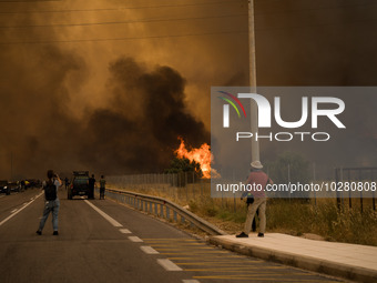 

Athens, Greece, on July 18th, 2023, strong winds are carrying the ravaging flames during the Dervenohoria wildfire (Western Attica, near t...