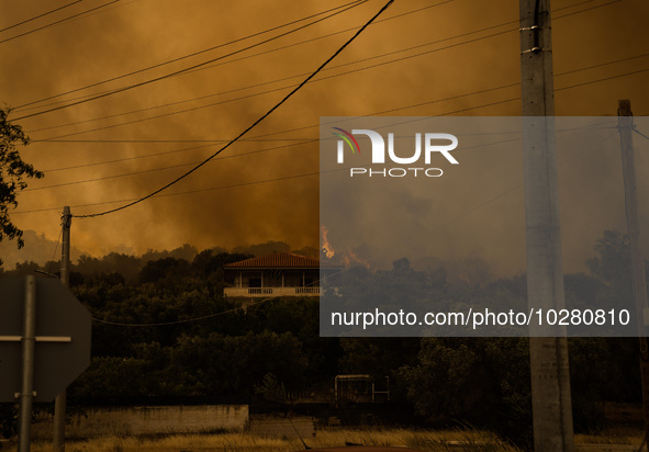 

Athens, Greece, on July 18th, 2023 - Several houses are being completely destroyed during the Dervenohoria wildfire, a complex of villages...