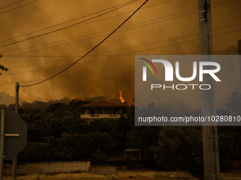 

Athens, Greece, on July 18th, 2023 - Several houses are being completely destroyed during the Dervenohoria wildfire, a complex of villages...