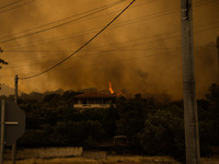 

Athens, Greece, on July 18th, 2023 - Several houses are being completely destroyed during the Dervenohoria wildfire, a complex of villages...