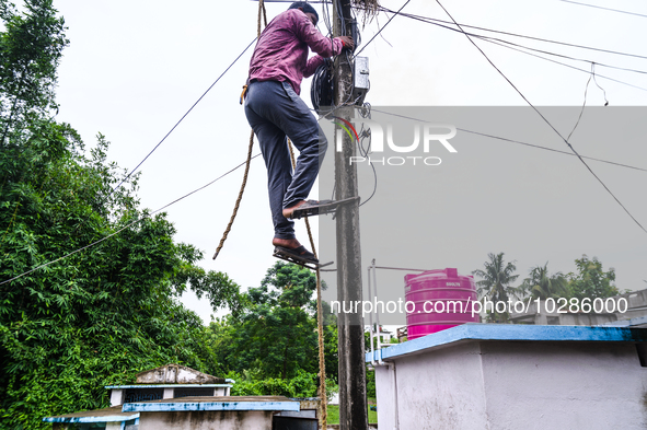 Most fatalities occur at distribution networks (specifically 11 kV and Low-Tension systems) and Low-Tension consumer locations, in Tehatta,...