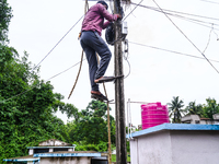 Most fatalities occur at distribution networks (specifically 11 kV and Low-Tension systems) and Low-Tension consumer locations, in Tehatta,...