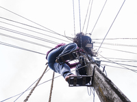 Most fatalities occur at distribution networks (specifically 11 kV and Low-Tension systems) and Low-Tension consumer locations, in Tehatta,...