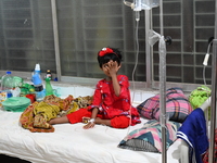 

Patients suffering from dengue fever are being treated inside the Mugdha General Hospital's admission section in Dhaka, Bangladesh on July...