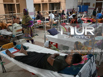 

Patients suffering from dengue fever are being treated inside the Mugdha General Hospital's admission section in Dhaka, Bangladesh on July...