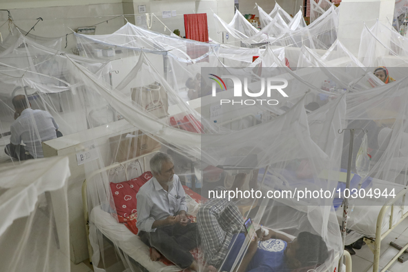 Dengue-infected patients stay under mosquito nets as they receive treatment at the Shaheed Suhrawardy Medical College and Hospital in Dhaka,...