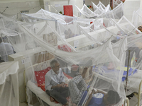 Dengue-infected patients stay under mosquito nets as they receive treatment at the Shaheed Suhrawardy Medical College and Hospital in Dhaka,...