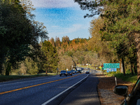 Drought, Fire And Pest Infestations Devastate California Forests. Penn Valley, 2022.  Trees Across California, Idaho, Montana and Other West...