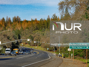 Drought, Fire And Pest Infestations Devastate California Forests. Penn Valley, 2022.  Trees Across California, Idaho, Montana and Other West...