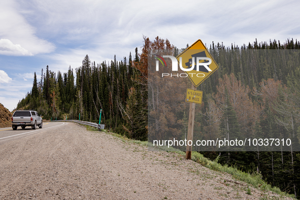 Drought, fire and pest infestations impact Idaho forests in the Sawtooth Mountains, Idaho,on  July 22, 2023. Trees across California, Idaho,...