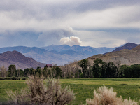 Drought, fire and pest infestations impact Montana forests in the western side of the state, including the Bitterroot Valley and the state c...