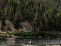 Drought, fire and pest infestations impact Montana forests in the western side of the state, including the Bitterroot Valley and the state c...