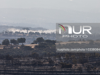 A plane throws water over a smoking area to prevent the fire break out again, Alassa, Cyprus, on Aug. 5, 2023. Fire Department and Forest De...