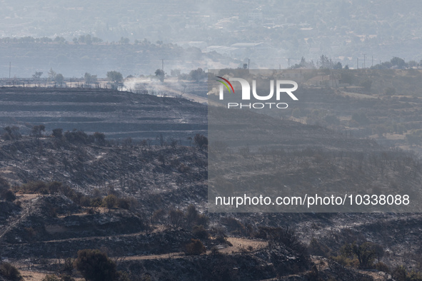 Smoke is coming out of the burnt areas, Alassa, Cyprus, on Aug. 5, 2023. Fire Department and Forest Department units, patrol the area around...