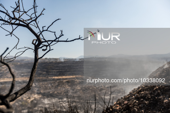 Smoke is coming out of the burnt areas, Alassa, Cyprus, on Aug. 5, 2023. Fire Department and Forest Department units, patrol the area around...