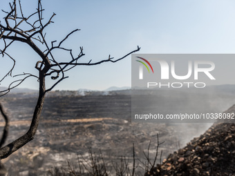 Smoke is coming out of the burnt areas, Alassa, Cyprus, on Aug. 5, 2023. Fire Department and Forest Department units, patrol the area around...