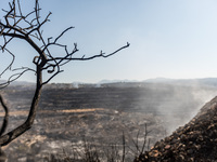 Smoke is coming out of the burnt areas, Alassa, Cyprus, on Aug. 5, 2023. Fire Department and Forest Department units, patrol the area around...