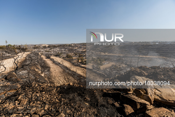 A general view o the burnt area, Alassa, Cyprus, on Aug. 5, 2023. Fire Department and Forest Department units, patrol the area around Alassa...