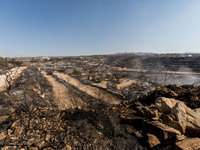 A general view o the burnt area, Alassa, Cyprus, on Aug. 5, 2023. Fire Department and Forest Department units, patrol the area around Alassa...