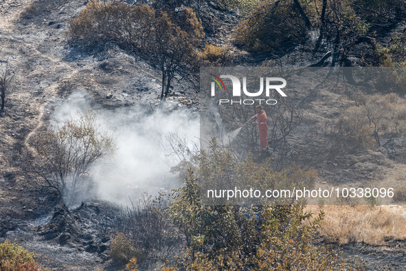 A man of the Civil Protection throws water over a smoking area, Alassa, Cyprus, on Aug. 5, 2023. Fire Department and Forest Department units...