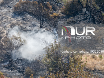 A man of the Civil Protection throws water over a smoking area, Alassa, Cyprus, on Aug. 5, 2023. Fire Department and Forest Department units...