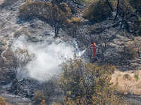 A man of the Civil Protection throws water over a smoking area, Alassa, Cyprus, on Aug. 5, 2023. Fire Department and Forest Department units...