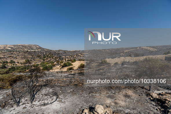 A general view of the burnt area, Alassa, Cyprus, on Aug. 5, 2023. Fire Department and Forest Department units, patrol the area around Alass...