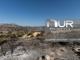 A general view of the burnt area, Alassa, Cyprus, on Aug. 5, 2023. Fire Department and Forest Department units, patrol the area around Alass...