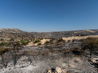 A general view of the burnt area, Alassa, Cyprus, on Aug. 5, 2023. Fire Department and Forest Department units, patrol the area around Alass...