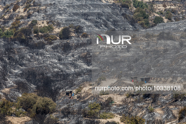 Sheds are seen inside the burnt area, Alassa, Cyprus, on Aug. 5, 2023. Fire Department and Forest Department units, patrol the area around A...