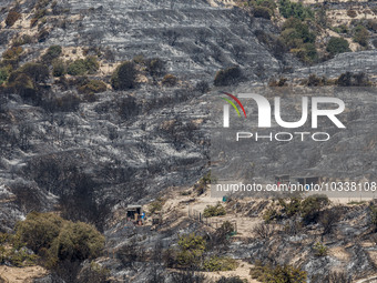 Sheds are seen inside the burnt area, Alassa, Cyprus, on Aug. 5, 2023. Fire Department and Forest Department units, patrol the area around A...