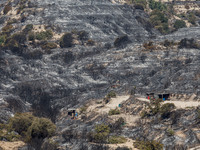 Sheds are seen inside the burnt area, Alassa, Cyprus, on Aug. 5, 2023. Fire Department and Forest Department units, patrol the area around A...