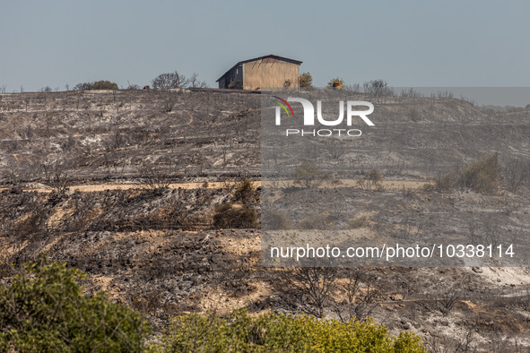 A shed is seen on a burnt hill, Alassa, Cyprus, on Aug. 5, 2023. Fire Department and Forest Department units, patrol the area around Alassa...