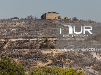 A shed is seen on a burnt hill, Alassa, Cyprus, on Aug. 5, 2023. Fire Department and Forest Department units, patrol the area around Alassa...