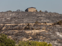 A shed is seen on a burnt hill, Alassa, Cyprus, on Aug. 5, 2023. Fire Department and Forest Department units, patrol the area around Alassa...