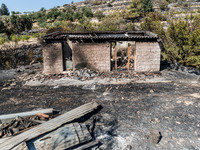 A burnt building is seen at the area, Alassa, Cyprus, on Aug. 5, 2023. Fire Department and Forest Department units, patrol the area around A...