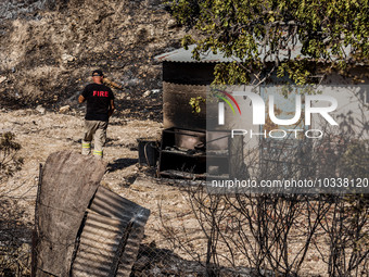 A fireman inspects the area around a semi-burnt shed, Alassa, Cyprus, on Aug. 5, 2023. Fire Department and Forest Department units, patrol t...