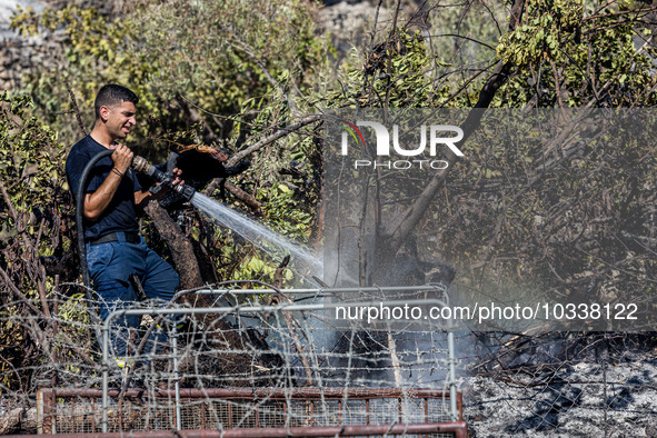 A fireman throws water on a smoking tree, Alassa, Cyprus, on Aug. 5, 2023. Fire Department and Forest Department units, patrol the area arou...