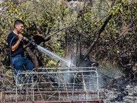 A fireman throws water on a smoking tree, Alassa, Cyprus, on Aug. 5, 2023. Fire Department and Forest Department units, patrol the area arou...