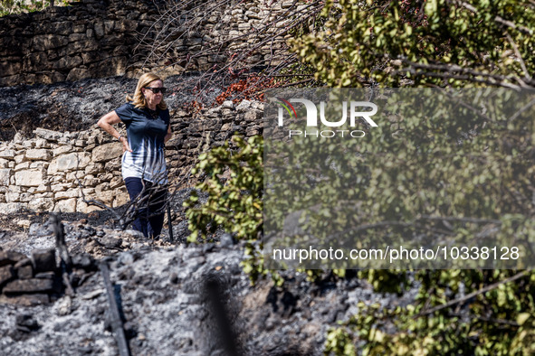 A woman that lives near the burnt area, inspects the surroundings, Alassa, Cyprus, on Aug. 5, 2023. Fire Department and Forest Department un...